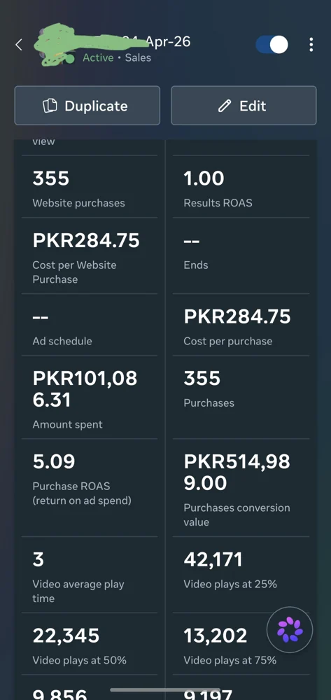 Meta Ads campaign performance screenshot (02)