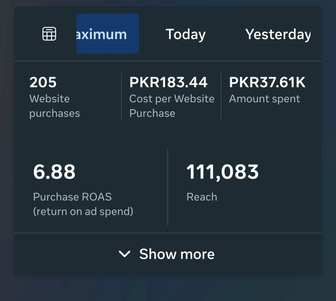 Meta Ads dashboard showing website purchases and return on ad spend (01)