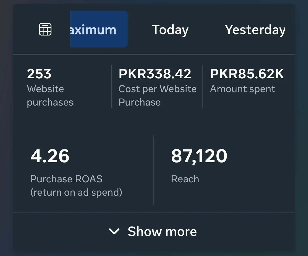Meta Ads dashboard showing website purchases and return on ad spend (02)